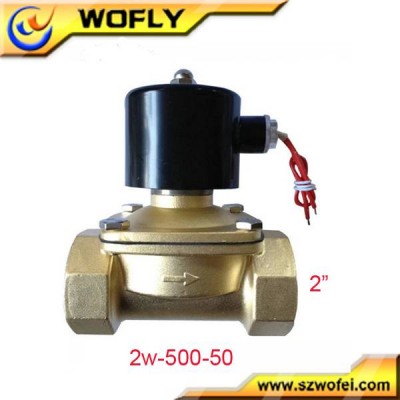 50mm Pipe 2-inch Cold Hot Water 220 Volt Solenoid Valve