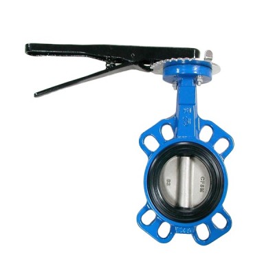 wafer type butterfly valve dn65/wafer type worm gear butterfly valve