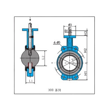 double flange headless dn300 butterfly valve