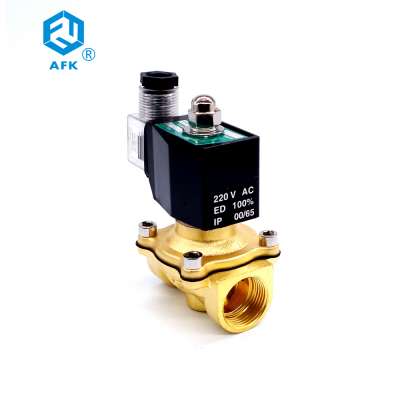 2W-160-15 Electric Water Solenoid Normally Closed  Vale  AC220V, AC110V, AC380V,